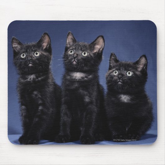 Kätzchen Mousepad (Vorne)