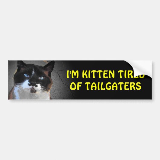 Kätzchen müde Matrosen Katzenständer Autoaufkleber (Vorne)