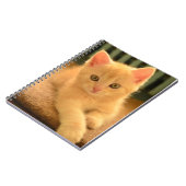 Kätzchen Notizblock (Linke Seite)