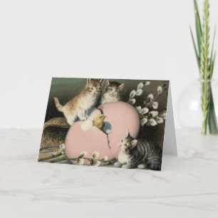 Kätzchen Osterküken Kick gefärbtes Ei Feiertagskarte