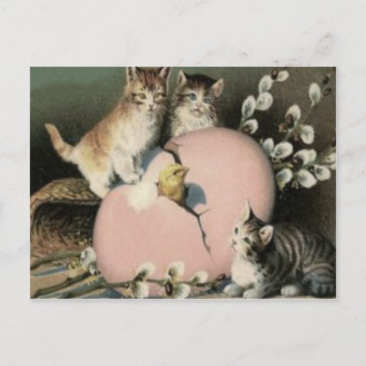 Kätzchen Osterküken Kick gefärbtes Ei Feiertagspostkarte (Vorderseite)