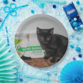 Kätzchen Pappteller (Party)