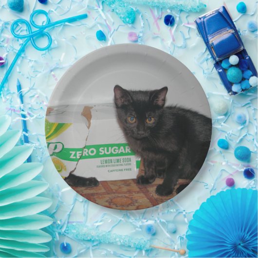 Kätzchen Pappteller (Party)