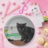 Kätzchen Pappteller (Party)