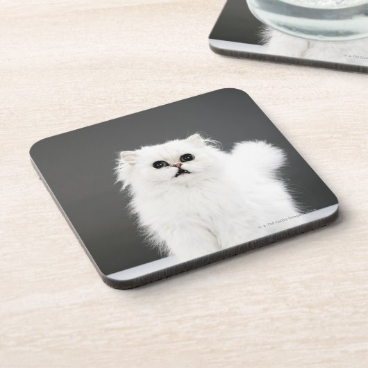 Kätzchen-Porträt Untersetzer (Linke Seite)