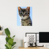 Kätzchen Poster (Heimbüro)