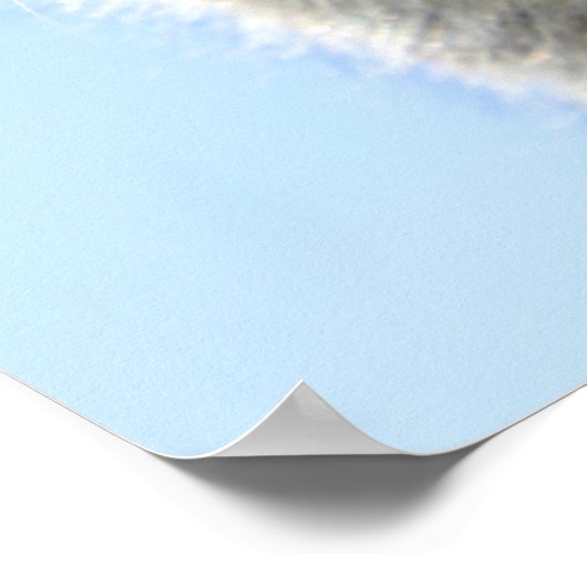 Kätzchen Poster (Ecke)