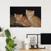 Kätzchen Poster (Heimbüro)