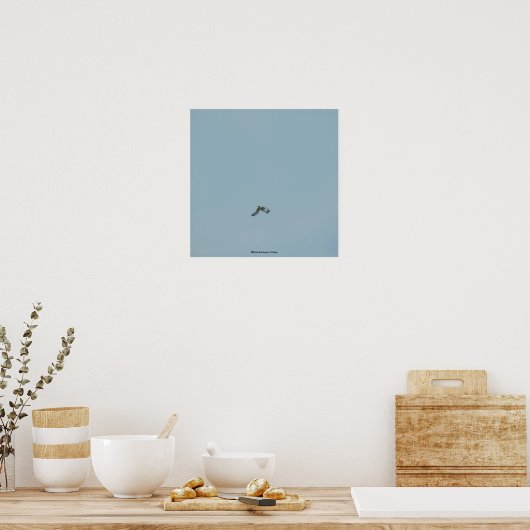Kätzchen Poster (Küche)