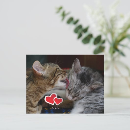 Kätzchen Postkarte (Stehend Vorderseite)