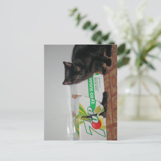 Kätzchen Postkarte (Stehend Vorderseite)