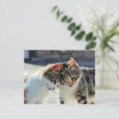 Kätzchen Postkarte (Stehend Vorderseite)