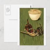 Kätzchen Postkarte (Vorne/Hinten)