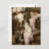 Kätzchen Postkarte (Vorne/Hinten)