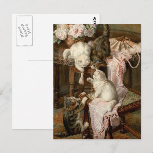 Kätzchen Postkarte (Vorne/Hinten)