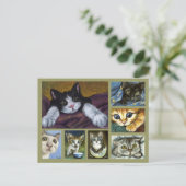 Kätzchen Postkarte (Stehend Vorderseite)