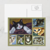 Kätzchen Postkarte (Vorne/Hinten)