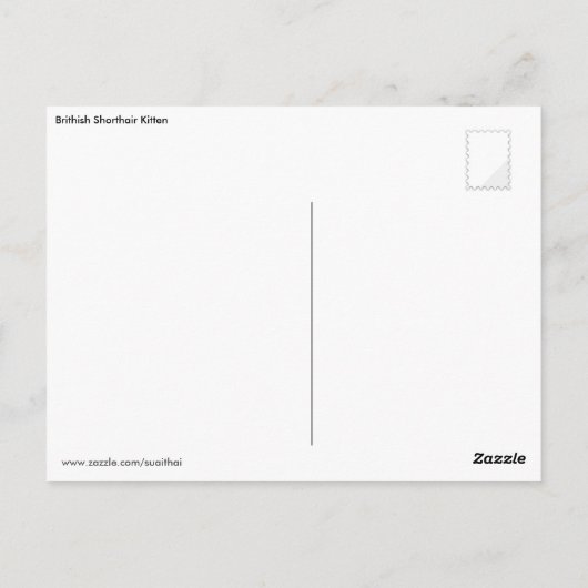 Kätzchen Postkarte (Rückseite)