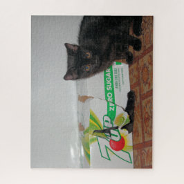 Kätzchen Puzzle
