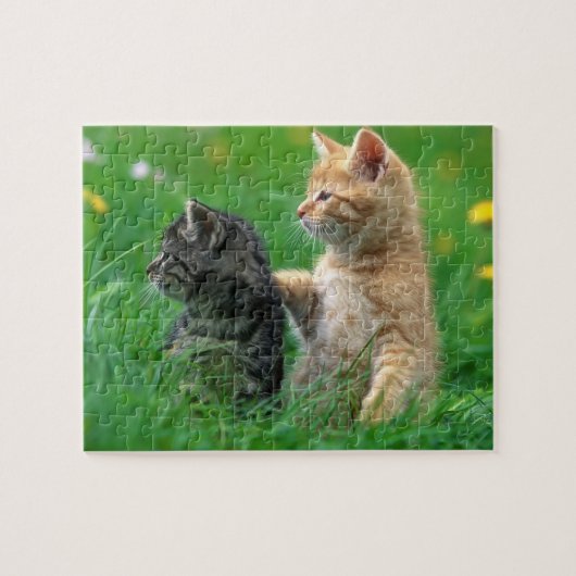 Kätzchen Puzzle (Horizontal)