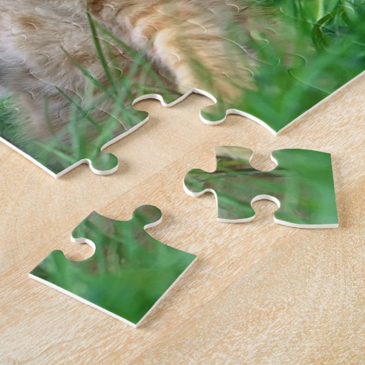 Kätzchen Puzzle (Seite)