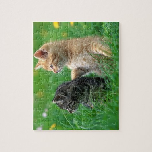 Kätzchen Puzzle (Vertikal)