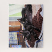 Kätzchen Puzzle (Vertikal)