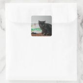 Kätzchen Quadratischer Aufkleber (Tasche)