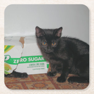 Kätzchen Rechteckiger Pappuntersetzer