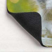 Kätzchen reitet ein Fahrrad Mousepad (Ecke)