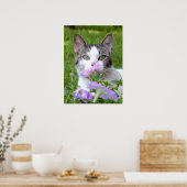 Kätzchen riecht die Blume Poster (Küche)