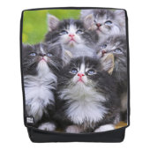 Kätzchen Rucksack (Vorderseite)