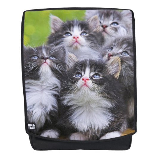 Kätzchen Rucksack (Vorderseite)