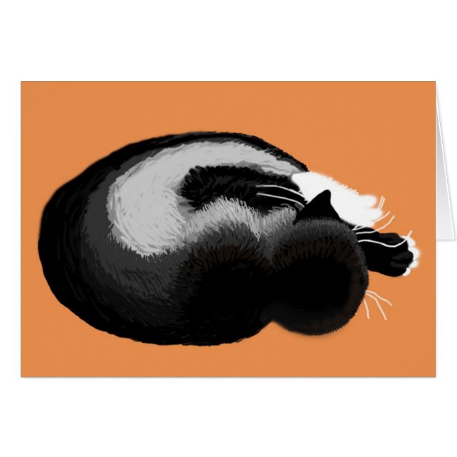 Kätzchen schlafen (Vorderseite (Horizontal))