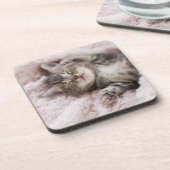 Kätzchen-Schlafen Getränkeuntersetzer (Linke Seite)