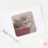 Kätzchen schlafen in einer Schüssel Quadratischer Aufkleber (Umschlag)