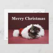 Kätzchen schlafen zusammen in Weihnachtshut Feiertagspostkarte (Vorne/Hinten)