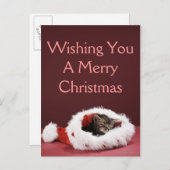 Kätzchen schlafend im Weihnachtshut Feiertagspostkarte (Vorne/Hinten)