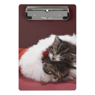 Kätzchen schlafend zusammen im Weihnachtshut Mini Klemmbrett