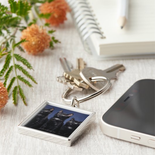 Kätzchen Schlüsselanhänger (Seite)