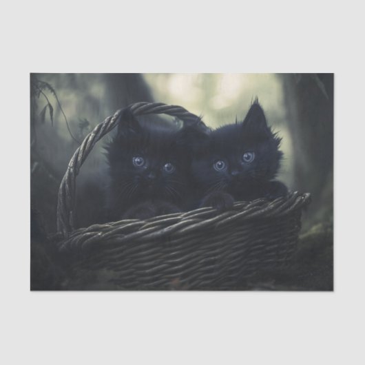 Kätzchen Seidenpapier (Vorderseite)