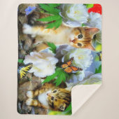 Kätzchen Sherpadecke (Vorderseite)