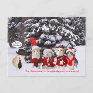 Kätzchen singen Weihnachtslieder Feiertagspostkarte