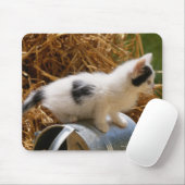 Kätzchen sitzt auf der Gießkanne Mousepad (Mit Mouse)