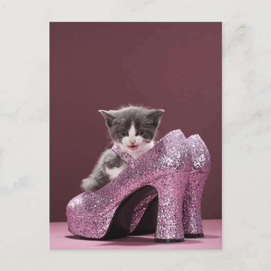 Kätzchen sitzt in Glitzer-Schuhen Postkarte (Vorderseite)