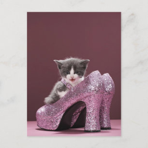 Kätzchen sitzt in Glitzer-Schuhen Postkarte