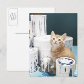 Kätzchen sitzt unter Farbflecken Postkarte (Vorne/Hinten)
