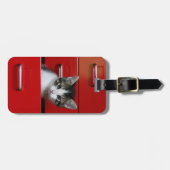 Kätzchen-Spähen Gepäckanhänger (Vorderseite horizontal)