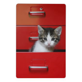 Kätzchen-Spähen Mini Klemmbrett (Rückseite)