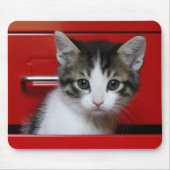 Kätzchen-Spähen Mousepad (Vorne)